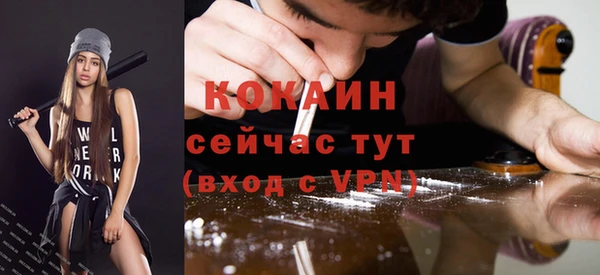 ешки Бронницы