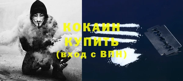 MESCALINE Бородино