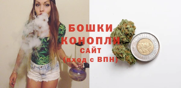 ешки Бронницы