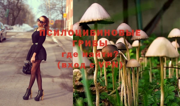 ешки Бронницы