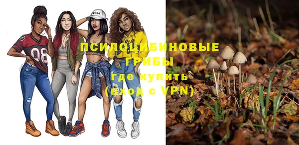 MESCALINE Бородино