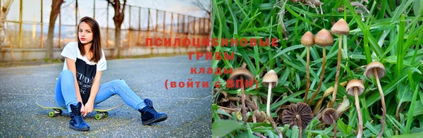 ешки Бронницы